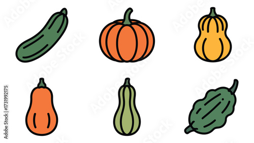 Vector art of assorted squash varieties, featuring zucchini, pumpkin, butternut, and other gourds for autumn harvest