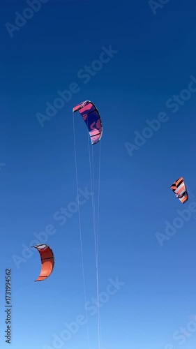 Colorful kitesurfing kites flying high in the clear blue sky on a sunny day. The vibrant sails create a striking contrast against the cloudless background, symbolizing freedom, adventure and joy 