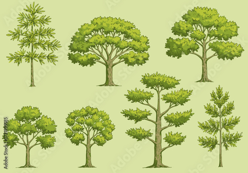 Collection of diverse deciduous and coniferous trees, illustrating various species and their unique foliage and branch structures