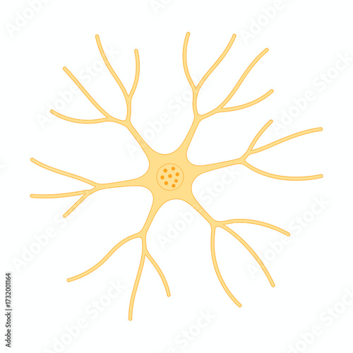 Isolated Neuron Illustration Depicting Brain Cell Anatomy and Nervous System Function on White Background Study of Neuroscience