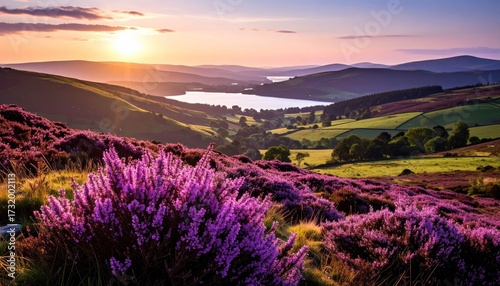 Sunrise over a purple moorland valley