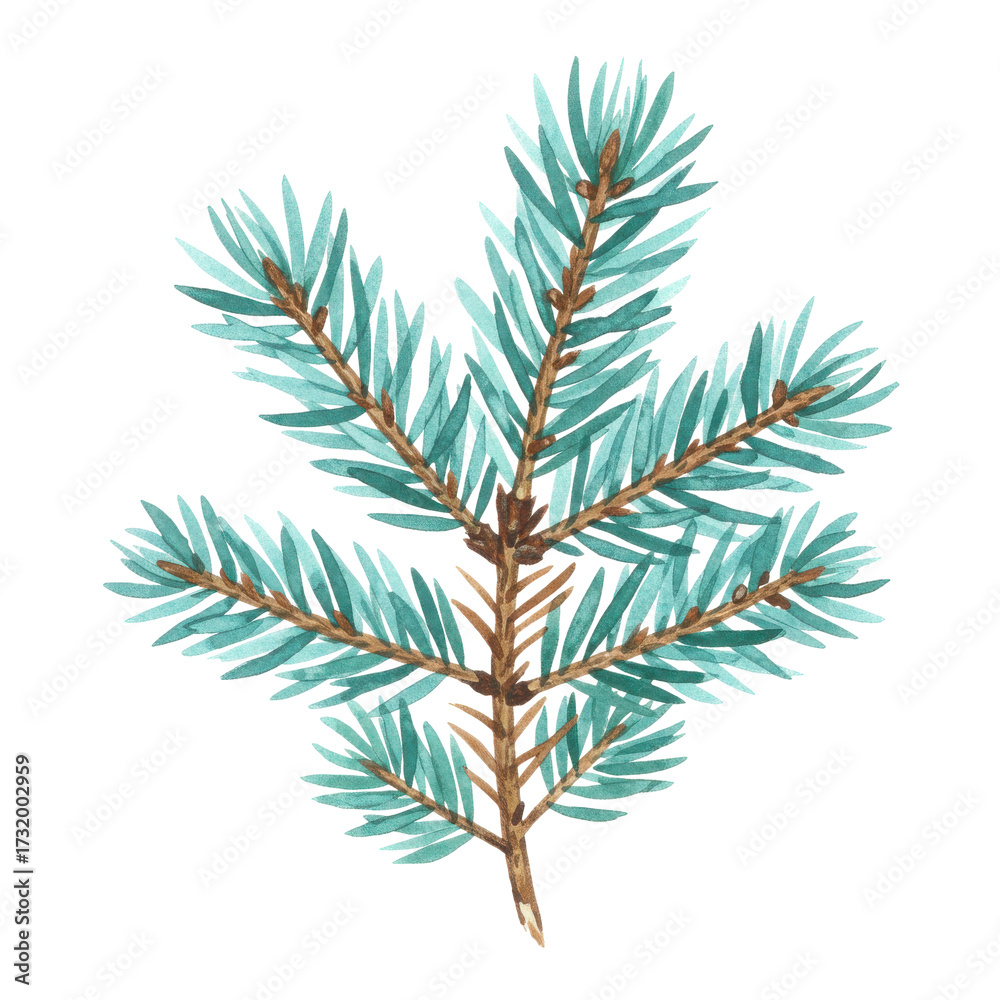 Naklejka premium Delicate watercolor branch of teal evergreen isolated on white background