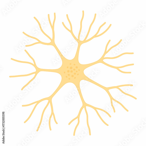Neuron Cell Illustration of Brain Anatomy with Axons and Dendrites for Neuroscience and Medical Education