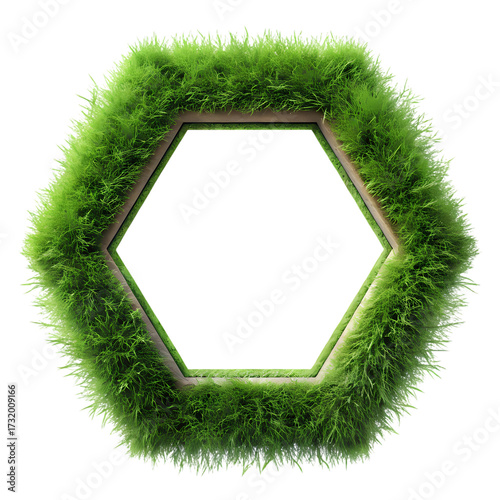 Green Grass Hexagon Frame – Eco Nature Border on a transparent background