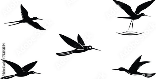 Skimmer Different Linocut Style Vector Illustration Set