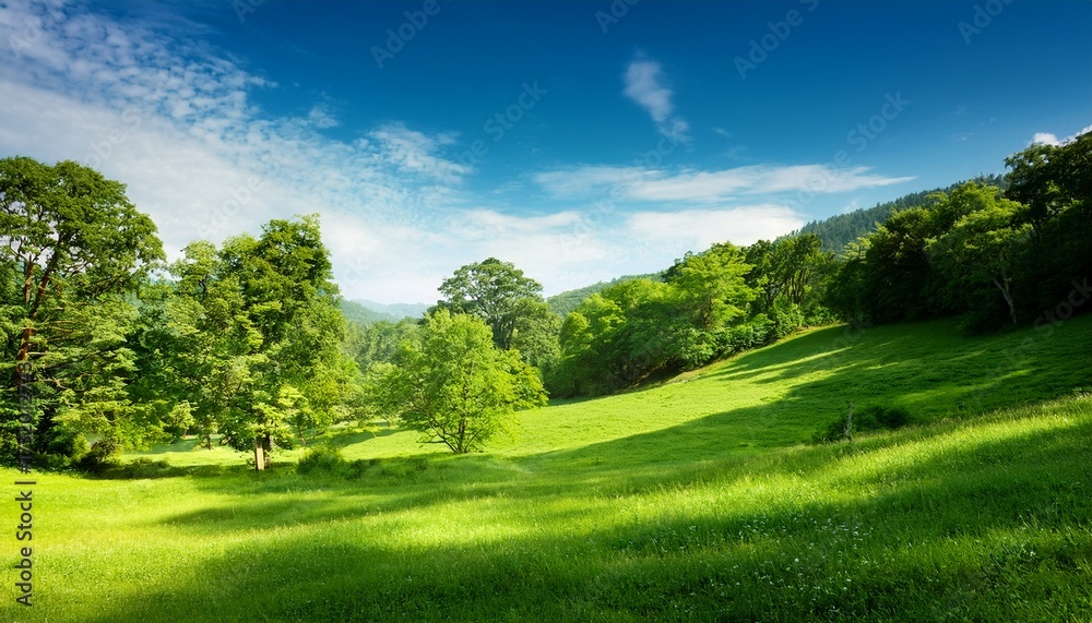 Obraz premium Lush Green Landscape With Trees And Bushes Serene Beauty