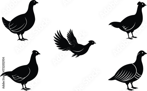 Prairie Chicken Different Linocut Style Vector Illustration Set