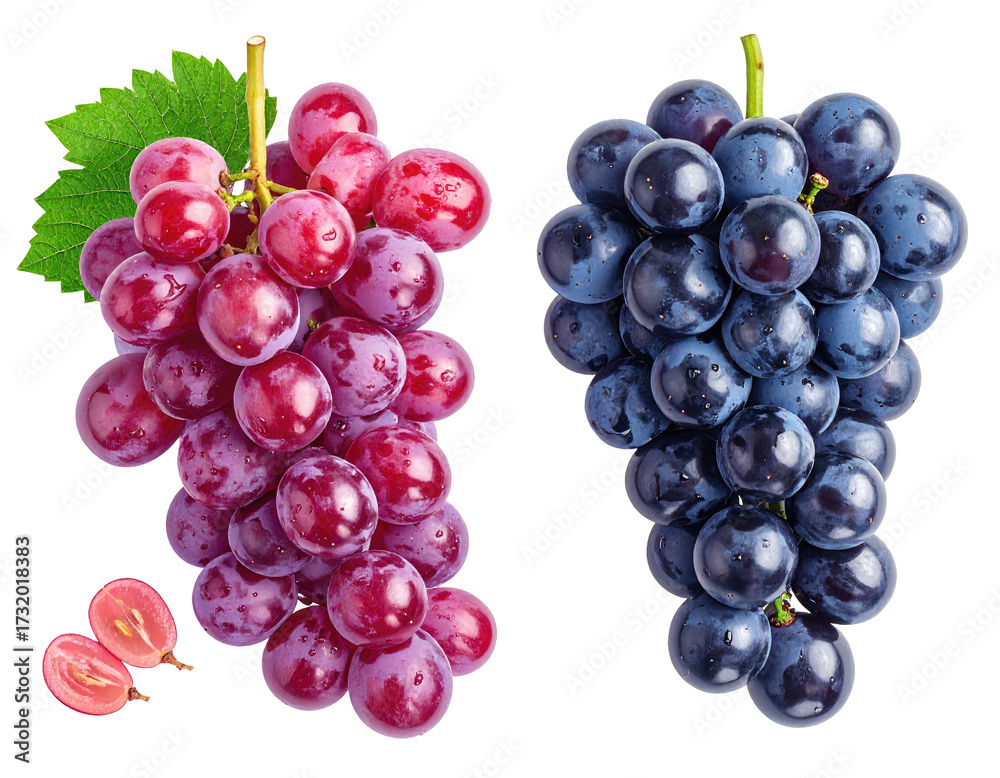 Fototapeta premium Two bunches of grapes, red and blue, displayed against a black background