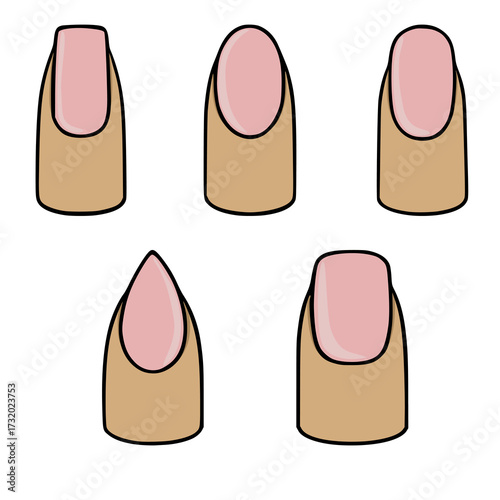 Diverse nail shape vector illustrations showcasing different manicure styles with soft pink polish and natural skin tones.