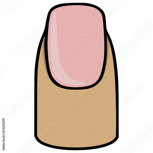 A minimalist vector illustration of a single, clean fingernail with a soft pink nail bed and a natural skin tone, outlined in bold black, perfect for beauty and cosmetic themes.