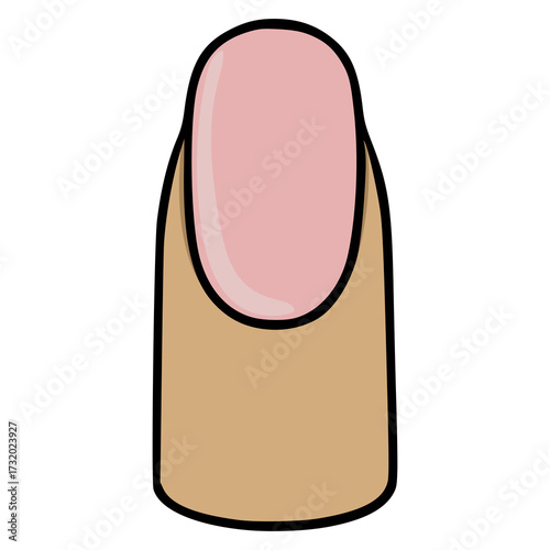 Minimalist vector illustration of a single, clean fingernail with a soft pink cuticle and a light brown finger base, isolated on a white background.