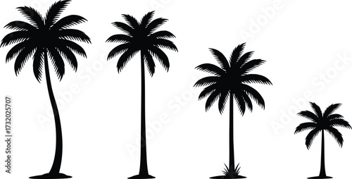 Palm tree silhouettes, tropical vector illustration, black botanical artwork, exotic jungle trees, coconut palms, beach design, summer vacation, island nature, tropical plants