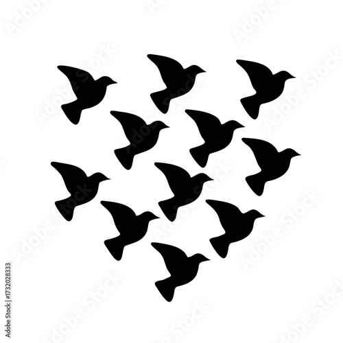 A flock of birds flying together in black silhouette against white background