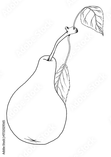 Pear graphics watercolour, seamless pattern 