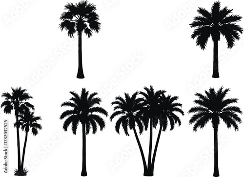 Palm tree silhouettes, tropical vector illustration, black botanical artwork, exotic jungle trees, coconut palms, beach design, summer vacation, island paradise, tropical plants