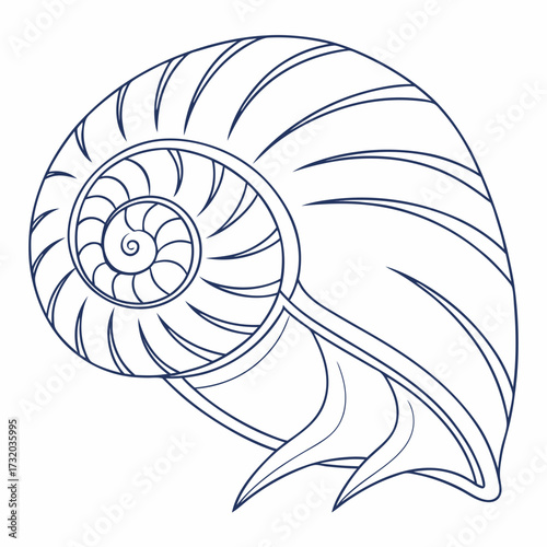 Elegant outline illustration of a nautilus shell showcasing its iconic spiral chambers and intricate geometric patterns against a clean white background