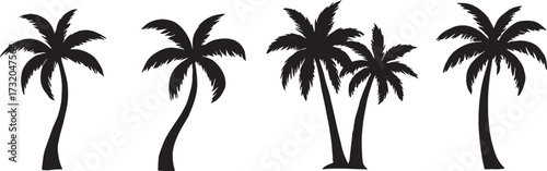 Elegant Black Palm Tree Silhouette Collection – Diverse Tropical Vector Shapes on a Clean White Background
