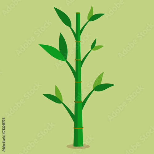 Green bamboo stalk with leaves on light green background