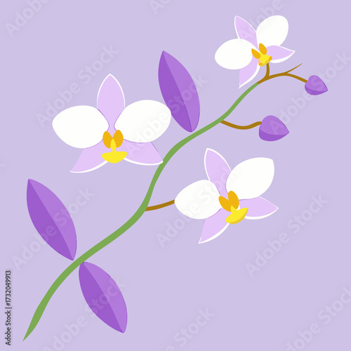 Pink and white orchid flowers on a stem with purple leaves