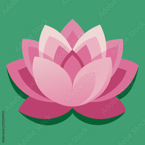 Pink lotus flower with layered petals on green background