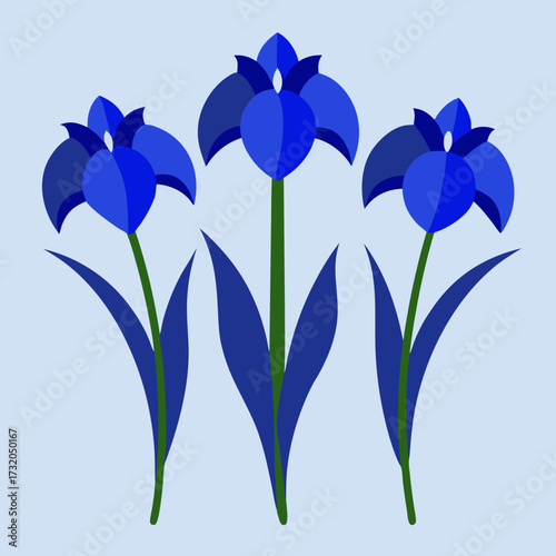 Three blue iris flowers with green stems and leaves Keywords: iris, flower, blue, floral