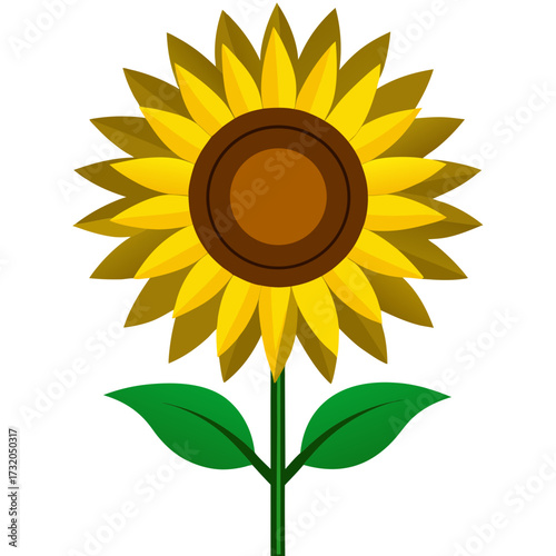 Yellow Sunflower with Green Leaves on White Background