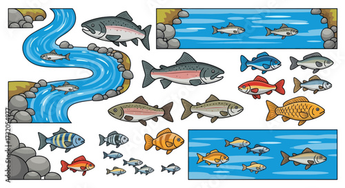 A vibrant collection of cartoon fish including salmon and trout with river and stream graphic elements.
