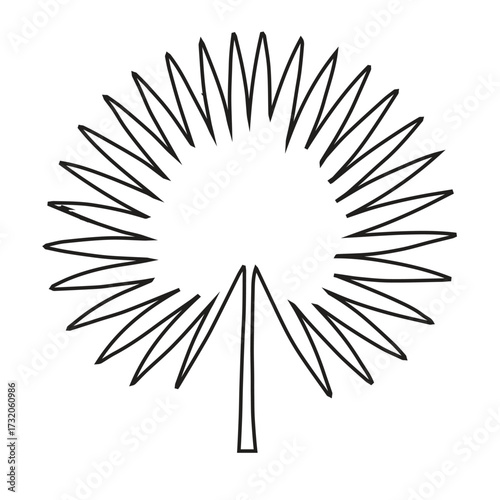 Fan palm leaf line art vector engraving clip art isolated