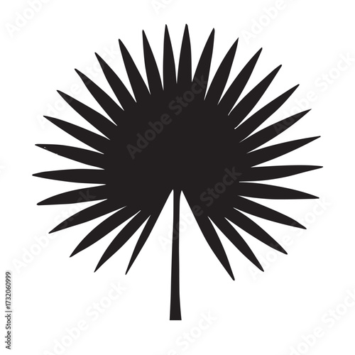 Fan palm leaf hand draw silhouette vector engraving clip art isolated