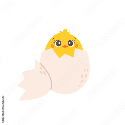 Chicken hatched from egg. Cute cartoon yellow bird on white background. Flat kids illustration of farm animal