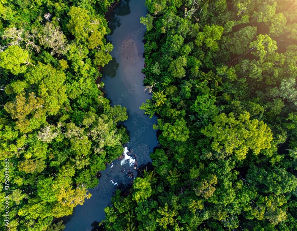 Naklejka premium Lush rainforest canopy with winding river