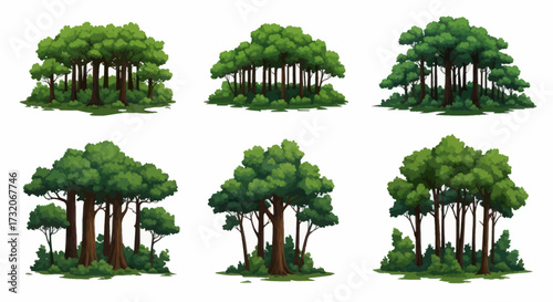 Six distinct clusters of lush green trees with dense foliage and visible trunks.