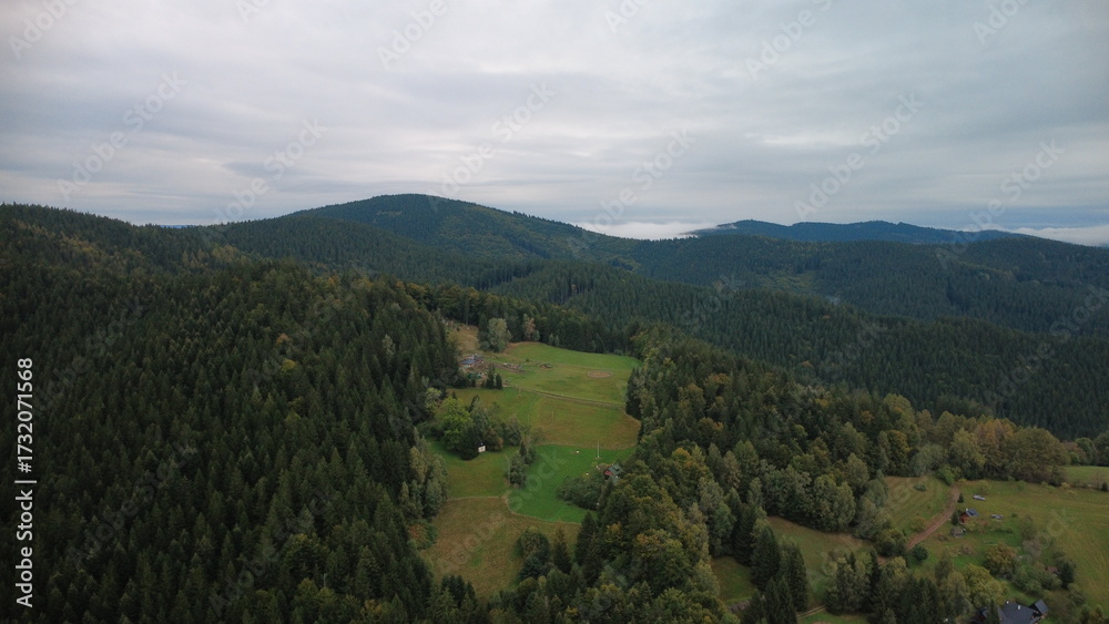 Fototapeta premium beautiful landscape in the mountains. the background is a forest