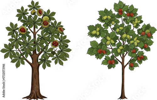 Chestnut tree illustration, hazelnut tree drawing, nut tree artwork, green foliage design, botanical sketch, nature plant graphic, eco friendly decoration, garden