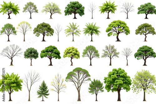 Diverse tree collection isolated against a plain background, showcasing various shapes and foliage. It offers a fresh perspective on the many forms of trees and their unique characteristics. 