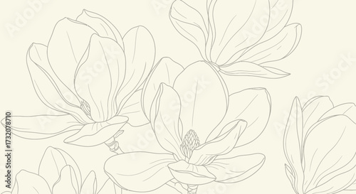 Magnolia line art on cream background