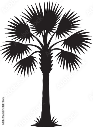 Palmetto tree silhouette. This image showcases a black silhouette of a palmetto tree, a tropical plant with distinctive fan-shaped leaves and a slender trunk. Vector clipart illustration