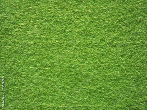 The textured surface is green, light green, pistachio color, herbal color as a background. Felt. High quality photo