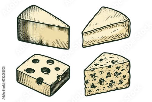 Collection of gourmet cheese varieties including Swiss, Brie, and blue cheese in a classic engraved style