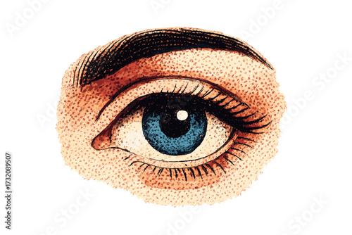 Halftone human eye vector illustration. Realistic blue eye with eyebrow in a retro dot style. Concept for vision, sight, surveillance, anatomy, and looking. Isolated graphic.