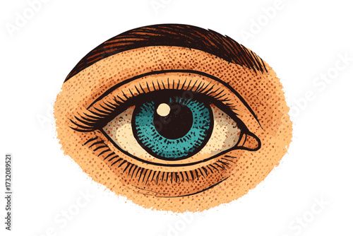 Halftone human eye vector illustration. Retro comic pop art style. Blue iris eyeball symbol for vision, sight, watching, and perception. Isolated hand-drawn sketched graphic.