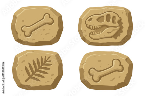 Dinosaur fossils vector set. Prehistoric life traces in ancient stone. T-rex skull, skeleton bones, araucaria leaf imprint. Paleontology, archeology excavation graphic icons.