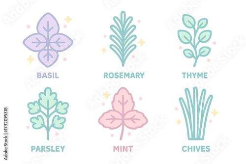 Stylized collection of fresh aromatic cooking herbs including basil rosemary thyme parsley mint and chives for culinary and kitchen design projects