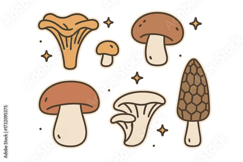 Diverse collection of wild and edible mushrooms including chanterelle, morel, and common fungi varieties in a stylized design