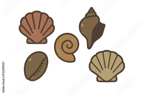Natural seashells and marine mollusk shells collected from the ocean and beach, showcasing a diverse array of shapes and sizes