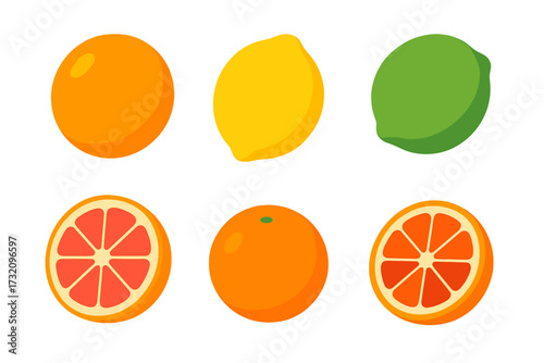 Collection of fresh whole and sliced citrus fruits including oranges lemons limes and grapefruit on a white background