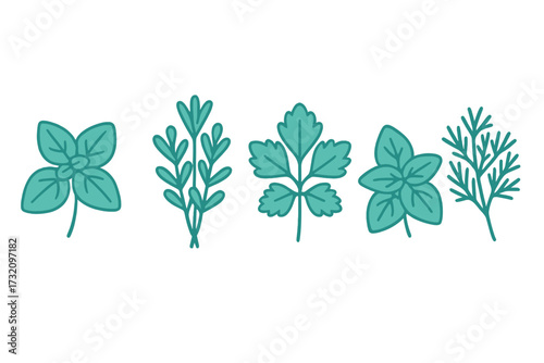 Assortment of fresh green culinary herbs for cooking and seasoning including basil rosemary parsley oregano and dill