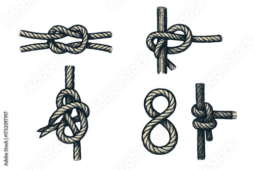 Detailed collection of various nautical rope knots and ties, including square knot, figure eight, and cleat hitch, in an engraved vintage style