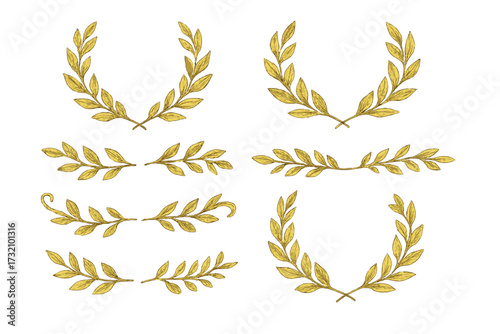 Set of vintage gold laurel branches collection, hand drawn vector floral ornament dividers, decorative leaves and swirls design elements, award wreath, elegant foliage accents