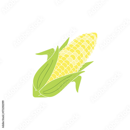 An ear of fresh yellow sweetcorn on the cob with green husks